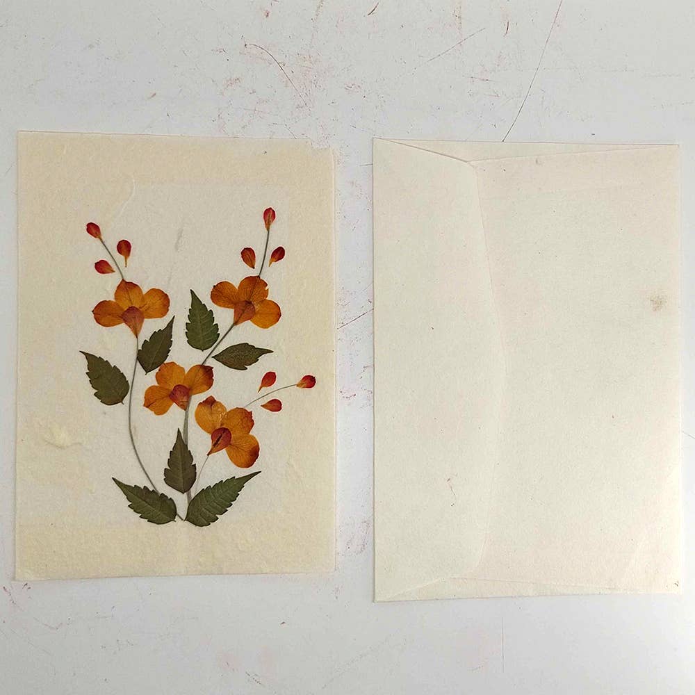 Mulberry Greeting Cards, Assorted