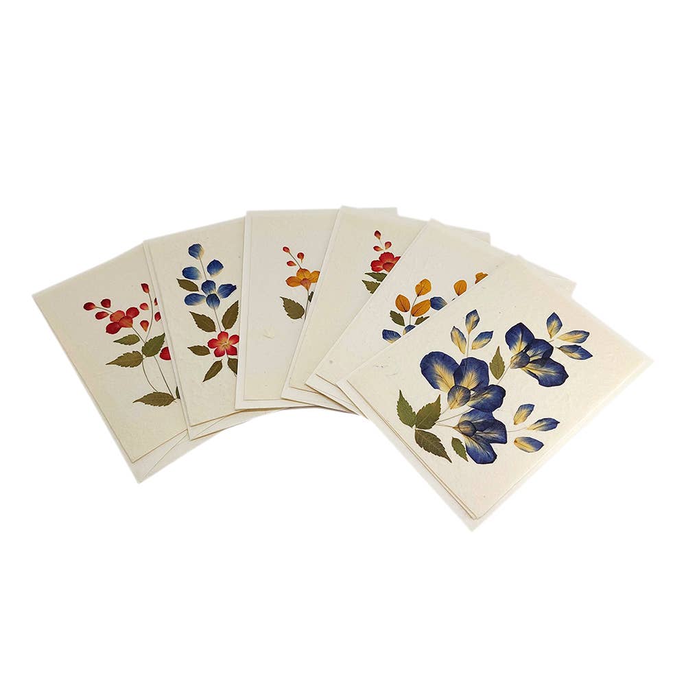 Mulberry Greeting Cards, Assorted
