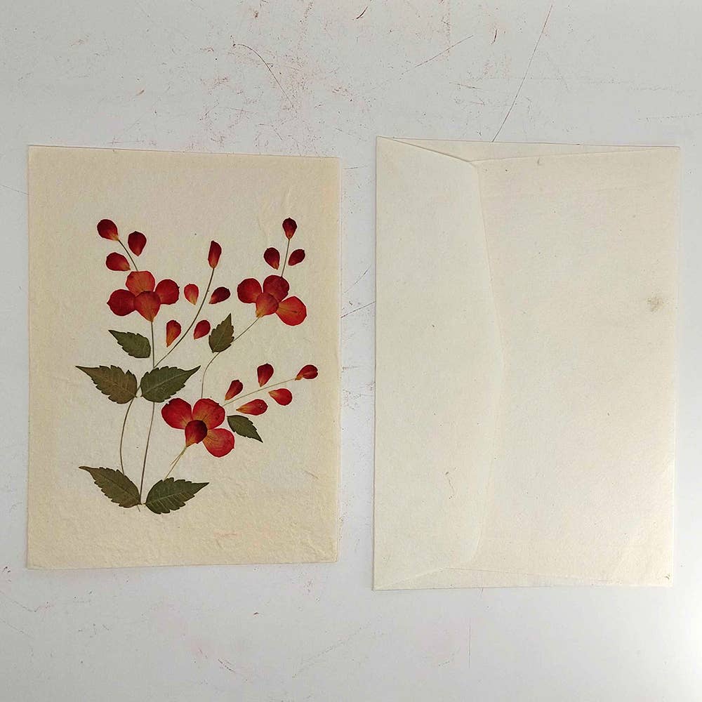 Mulberry Greeting Cards, Assorted